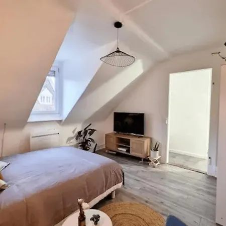 Soh Rent Saint Florent Proche Gare ستراسبورغ