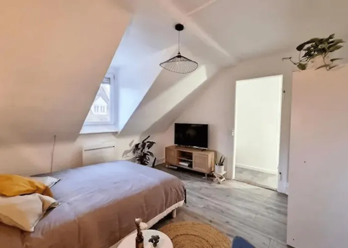 Soh Rent Saint Florent Proche Gare 斯特拉斯堡