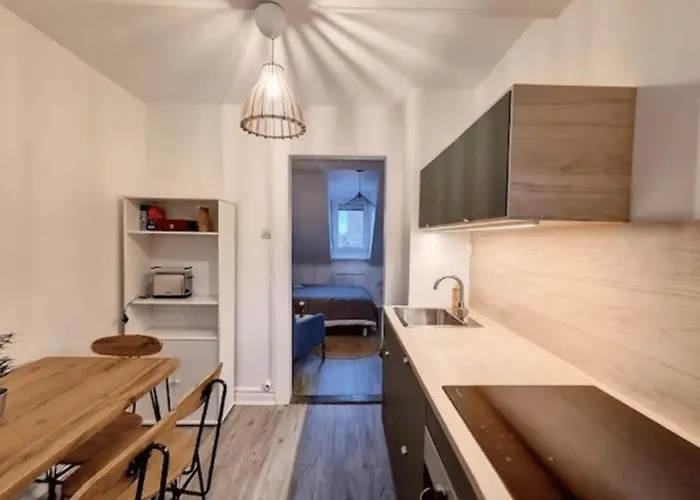Soh Rent Saint Florent Proche Gare 公寓 *
