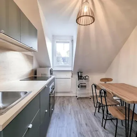 Soh Rent Saint Florent Proche Gare * Strasbourg