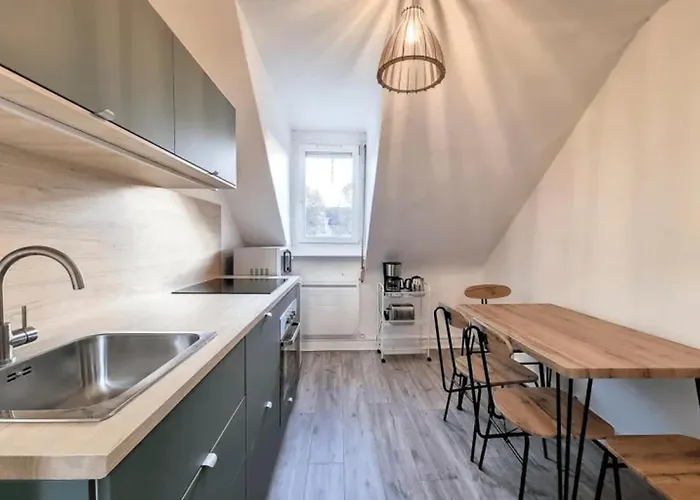 Soh Rent Saint Florent Proche Gare * Страсбург
